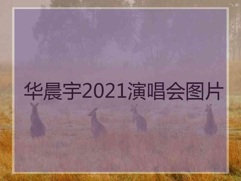 华晨宇2021演唱会图片