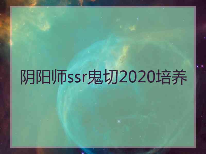 阴阳师ssr鬼切2020培养