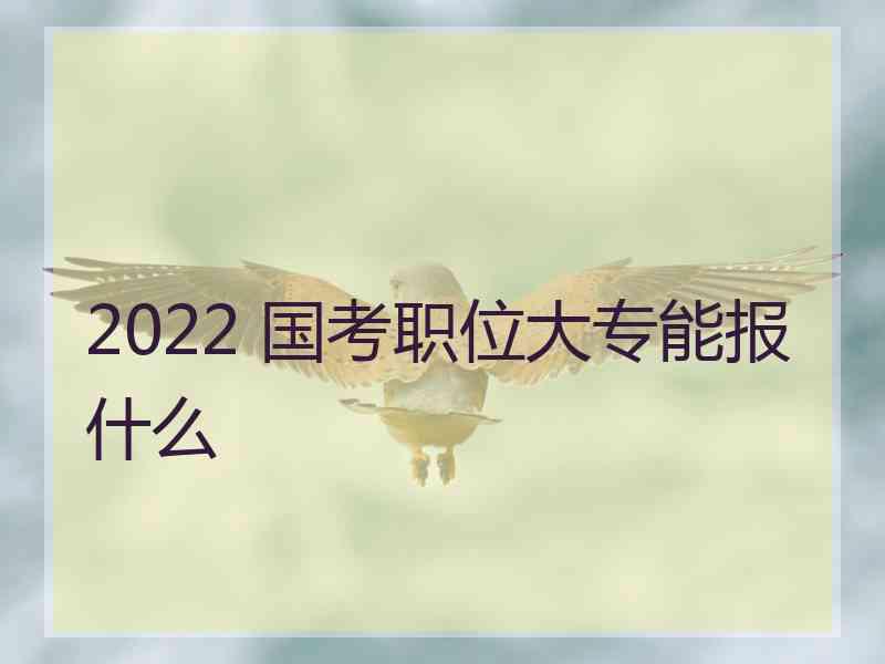 2022 国考职位大专能报什么