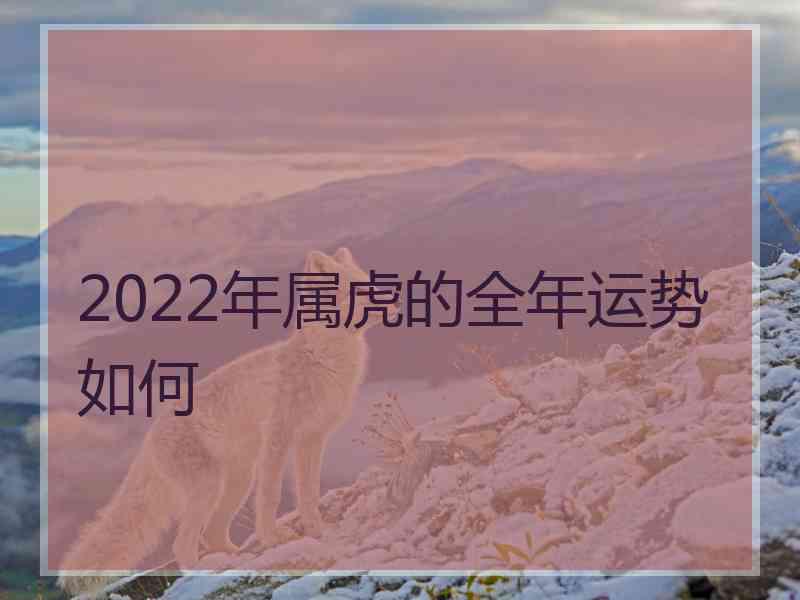 2022年属虎的全年运势如何