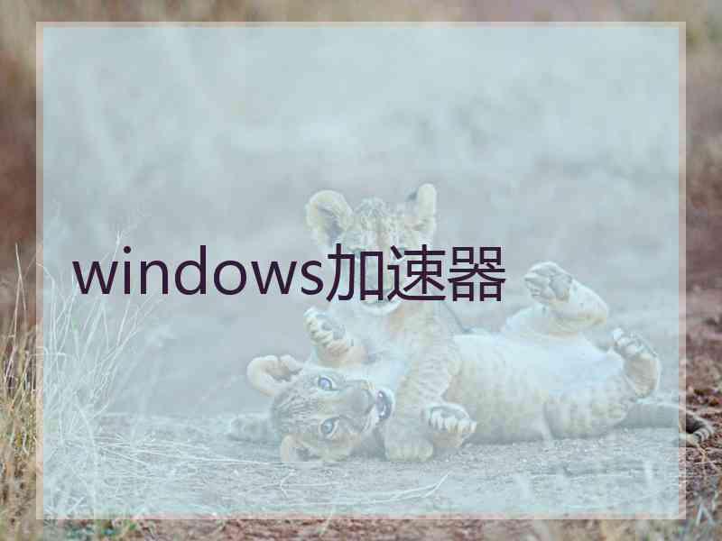 windows加速器