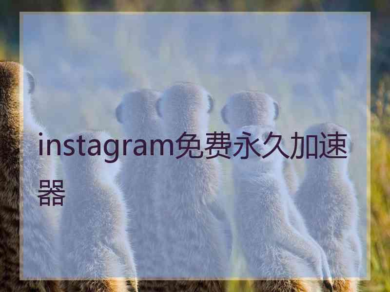 instagram免费永久加速器