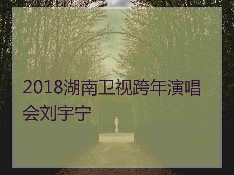 2018湖南卫视跨年演唱会刘宇宁