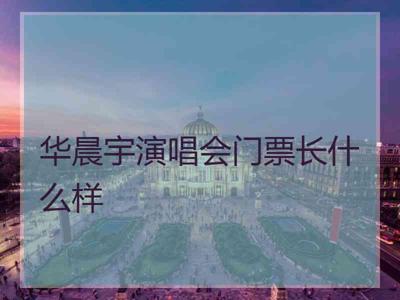 华晨宇演唱会门票长什么样