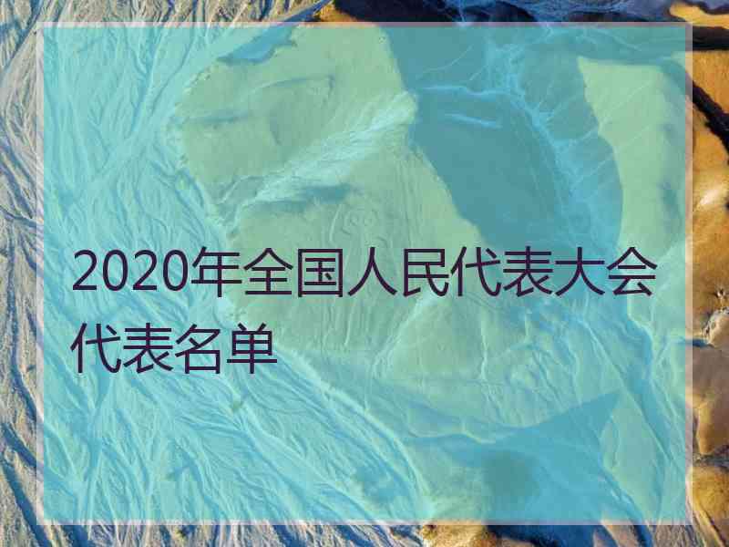 2020年全国人民代表大会代表名单