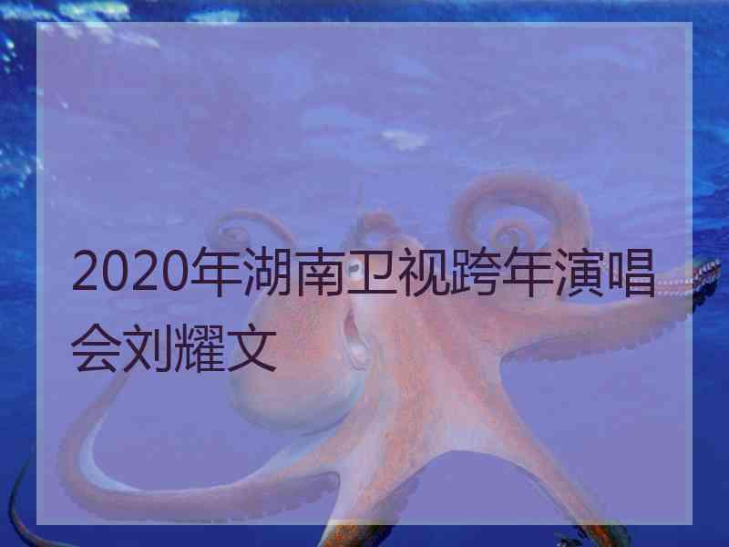 2020年湖南卫视跨年演唱会刘耀文