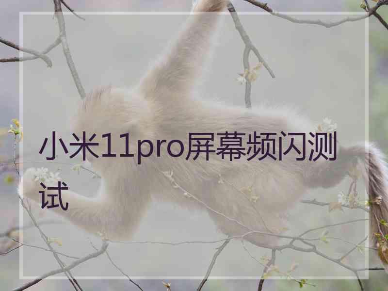 小米11pro屏幕频闪测试