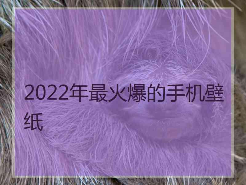 2022年最火爆的手机壁纸