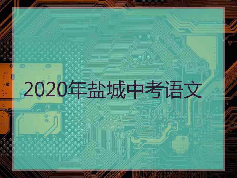 2020年盐城中考语文