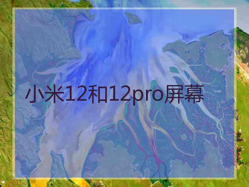 小米12和12pro屏幕