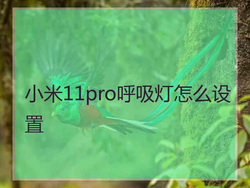 小米11pro呼吸灯怎么设置