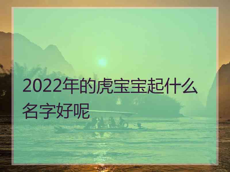 2022年的虎宝宝起什么名字好呢