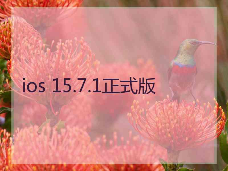 ios 15.7.1正式版