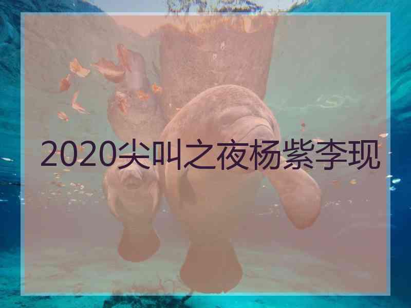 2020尖叫之夜杨紫李现