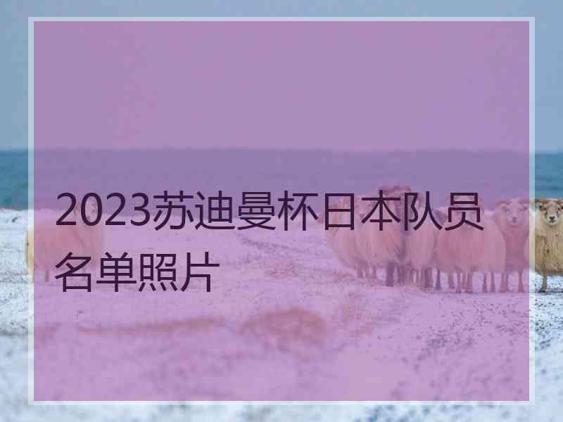 2023苏迪曼杯日本队员名单照片