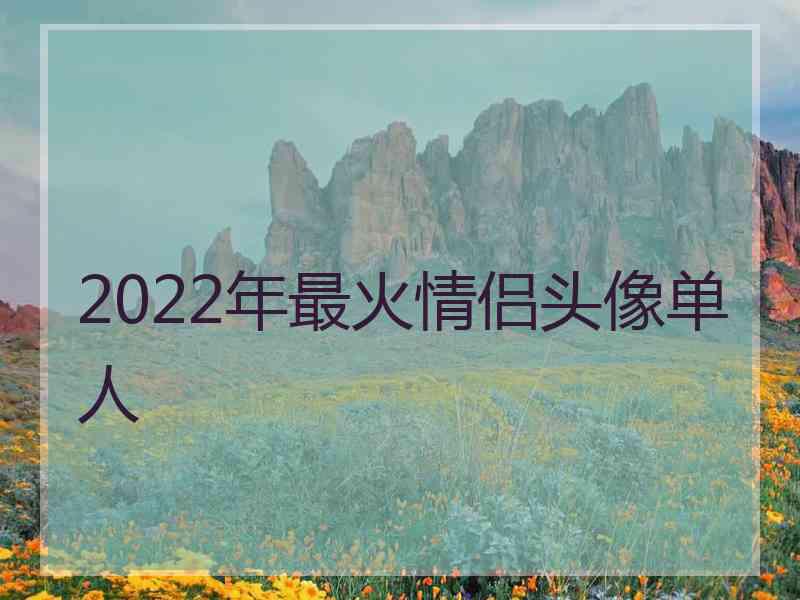 2022年最火情侣头像单人