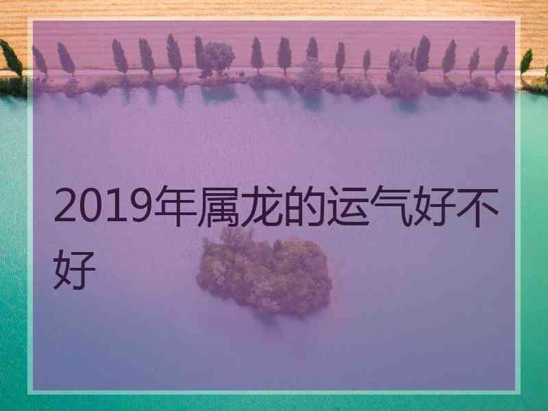 2019年属龙的运气好不好