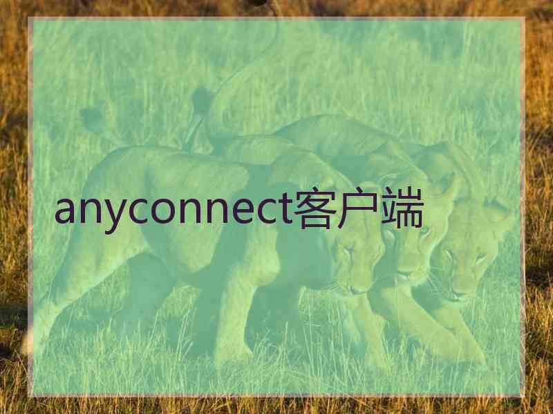 anyconnect客户端