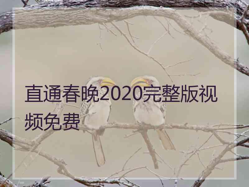 直通春晚2020完整版视频免费