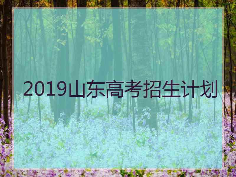 2019山东高考招生计划