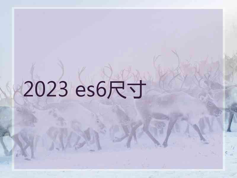 2023 es6尺寸