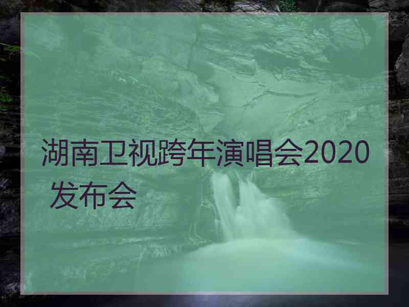 湖南卫视跨年演唱会2020 发布会