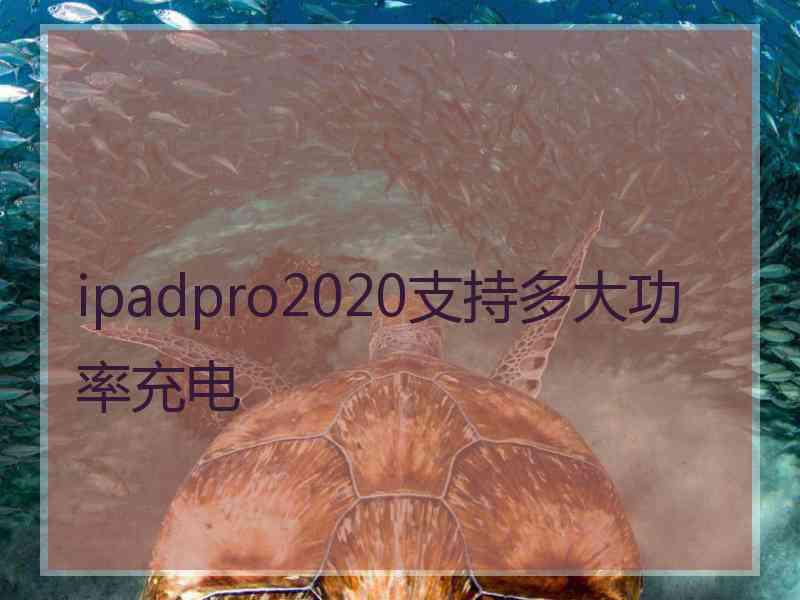 ipadpro2020支持多大功率充电