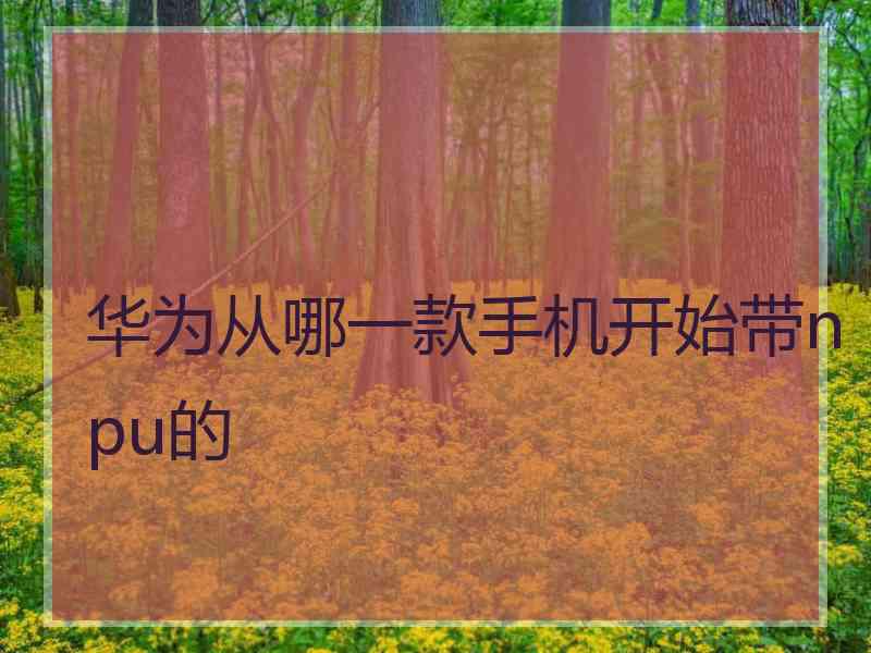 华为从哪一款手机开始带npu的