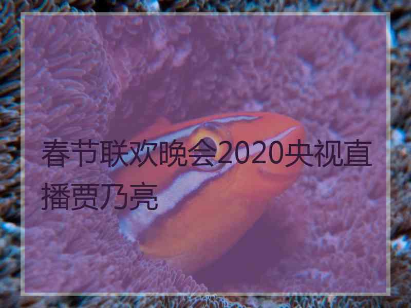 春节联欢晚会2020央视直播贾乃亮