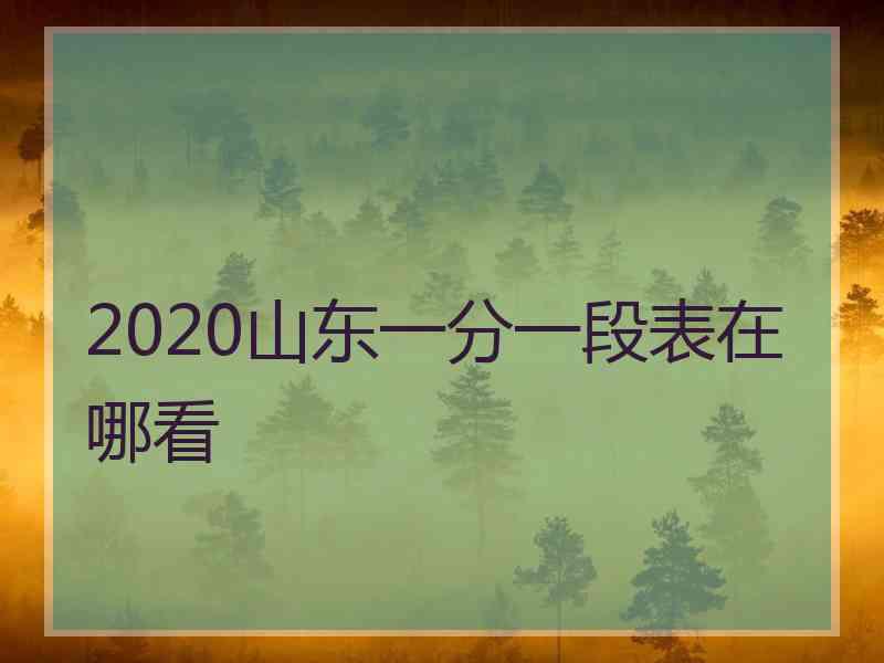 2020山东一分一段表在哪看