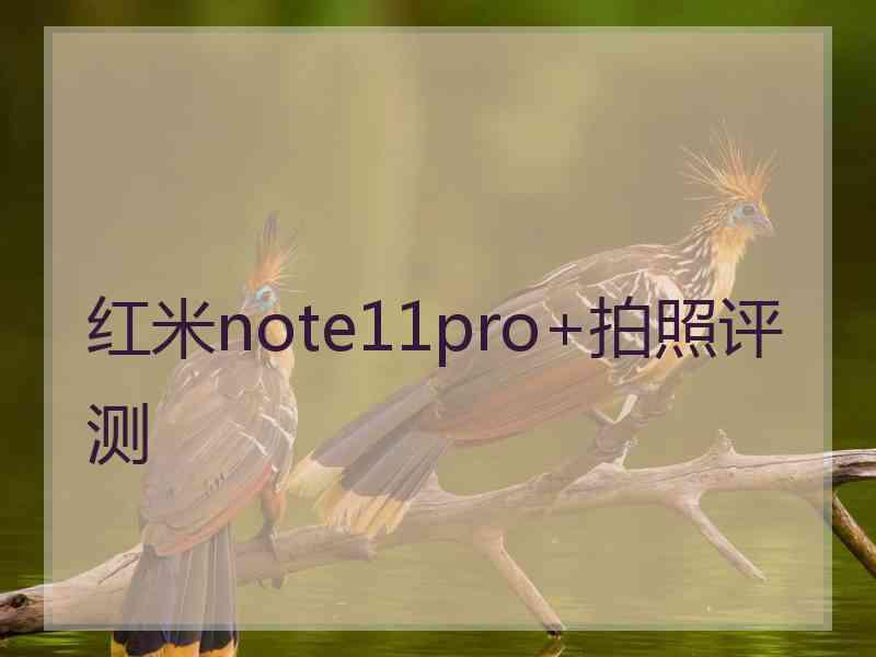 红米note11pro+拍照评测