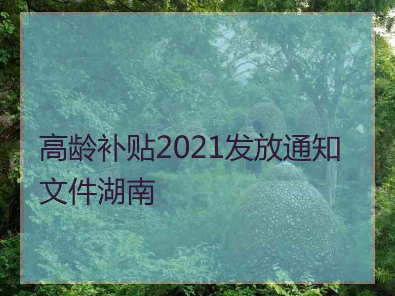 高龄补贴2021发放通知文件湖南