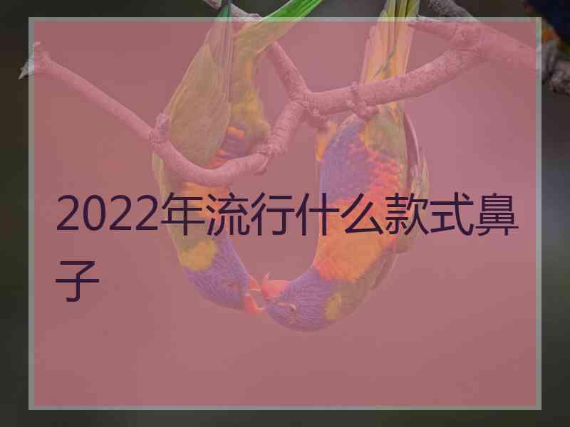 2022年流行什么款式鼻子