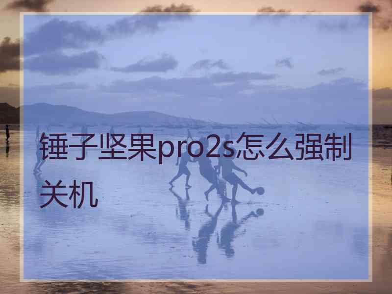 锤子坚果pro2s怎么强制关机