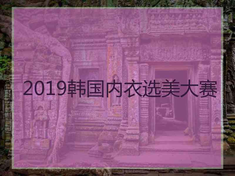 2019韩国内衣选美大赛