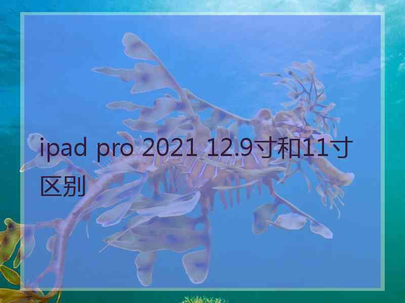 ipad pro 2021 12.9寸和11寸区别