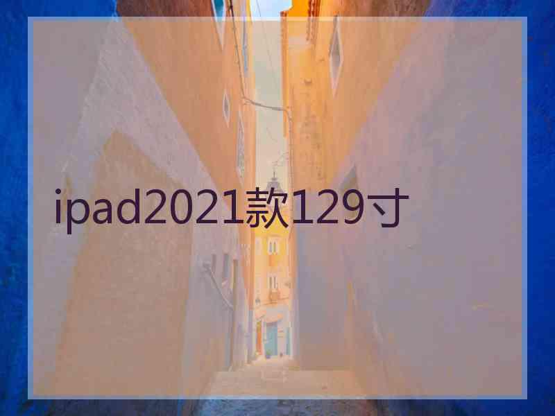 ipad2021款129寸