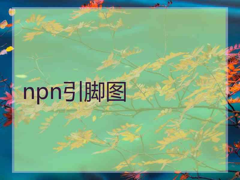 npn引脚图