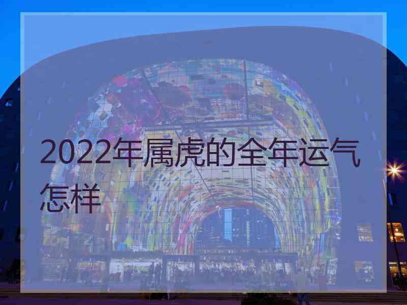 2022年属虎的全年运气怎样