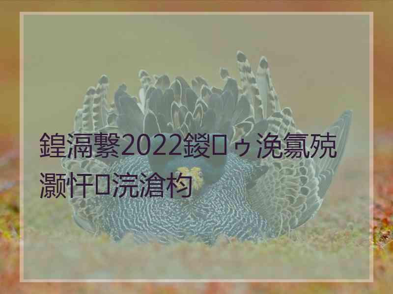 鍠滆繋2022鍐ゥ浼氱殑灏忓浣滄枃