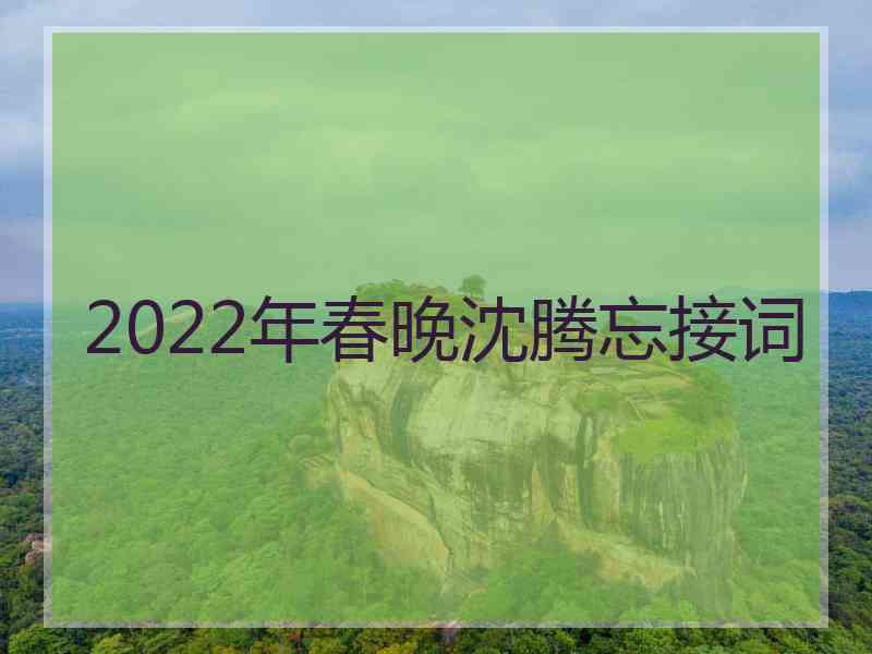 2022年春晚沈腾忘接词