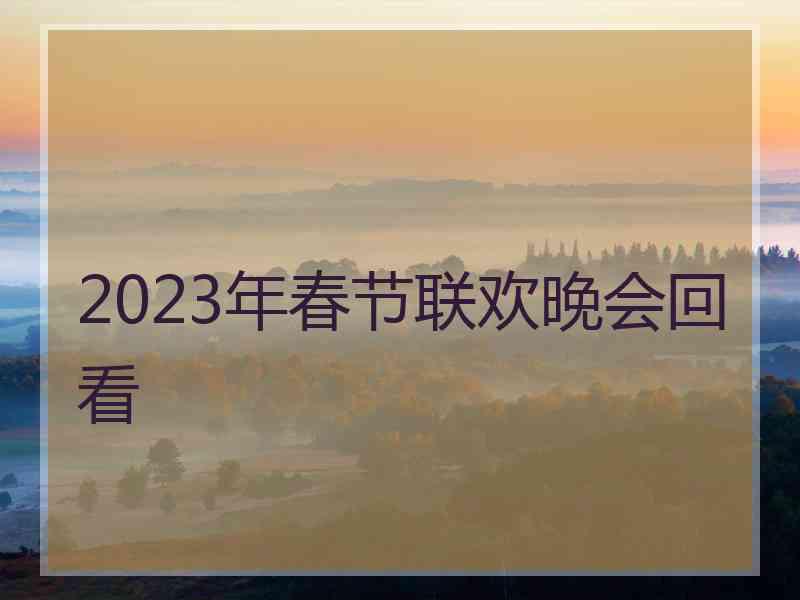 2023年春节联欢晚会回看