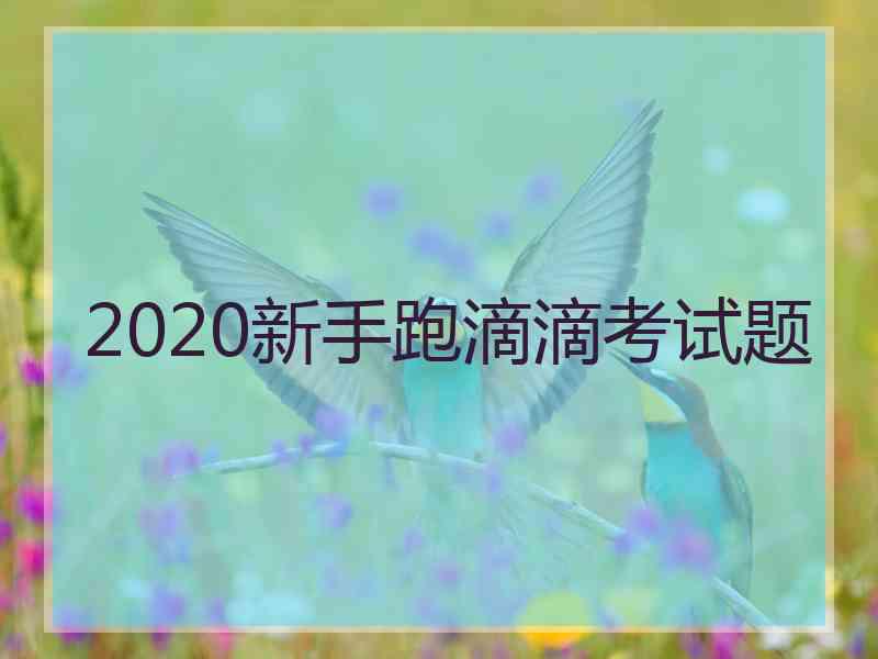 2020新手跑滴滴考试题