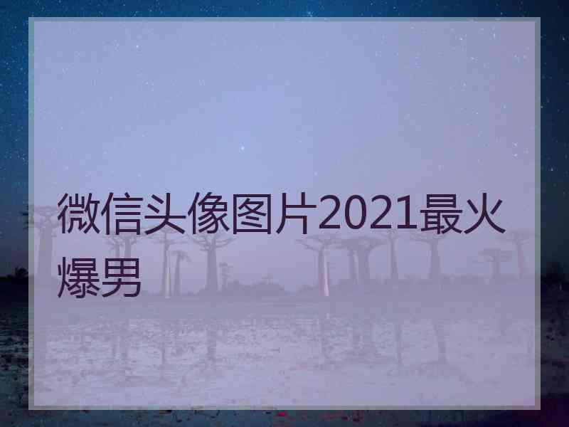 微信头像图片2021最火爆男