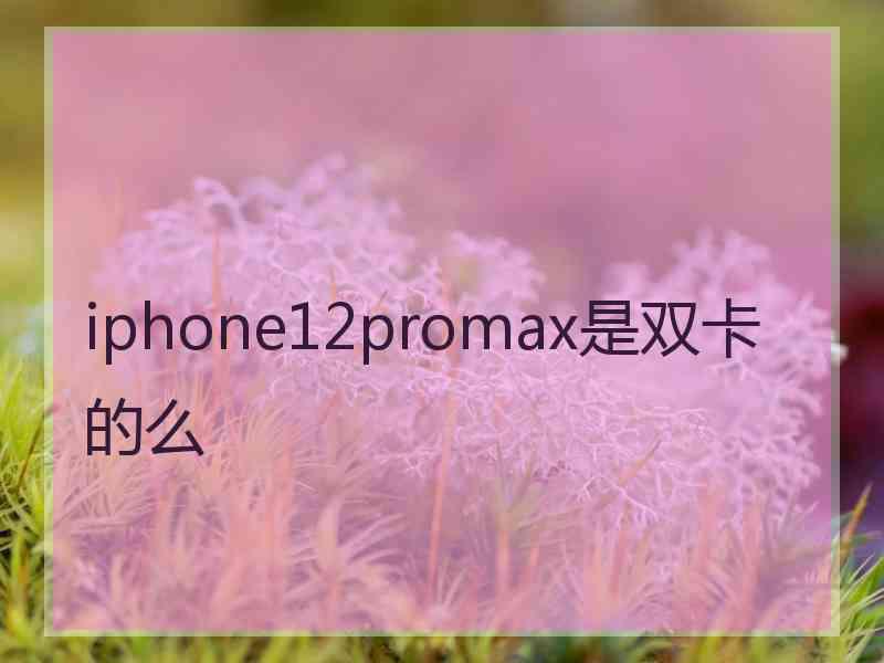 iphone12promax是双卡的么