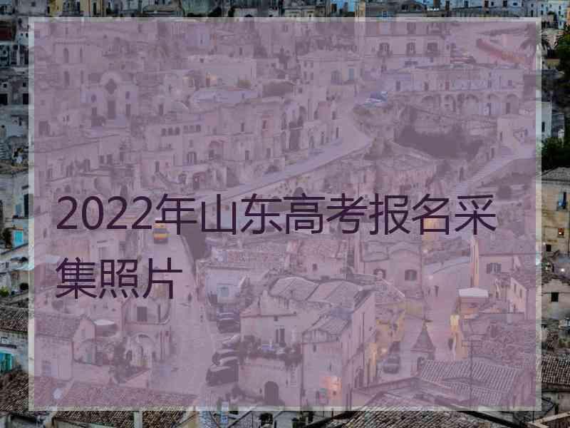 2022年山东高考报名采集照片