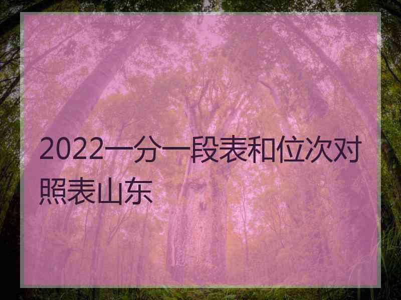 2022一分一段表和位次对照表山东