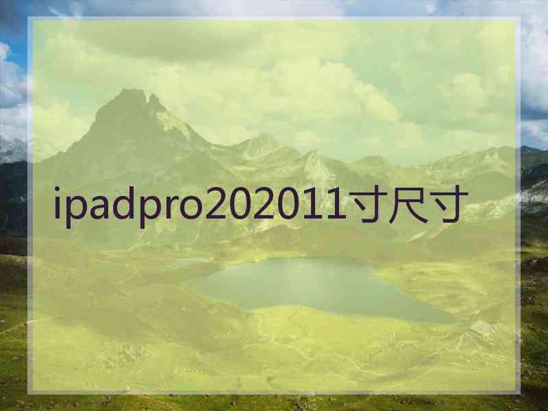 ipadpro202011寸尺寸