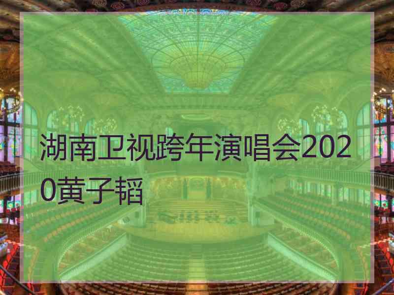 湖南卫视跨年演唱会2020黄子韬