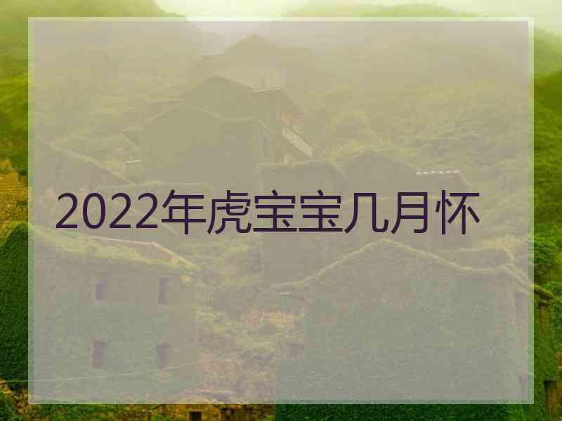 2022年虎宝宝几月怀